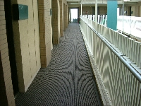 DSCF4115.JPG